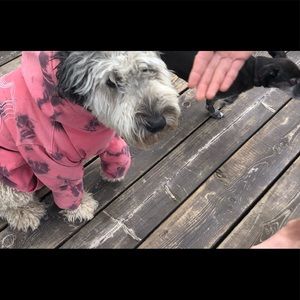 Meet your Posher, Tomoko